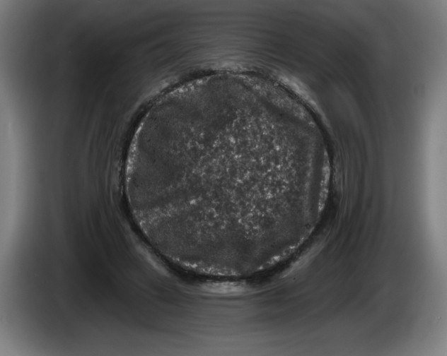 X0000085260449200703301836