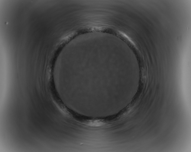 X0000085260451200703301836