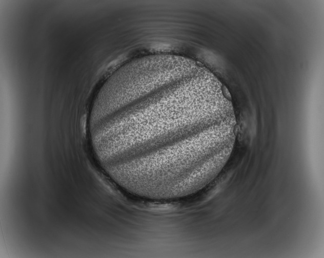 X0000085260454200703301836