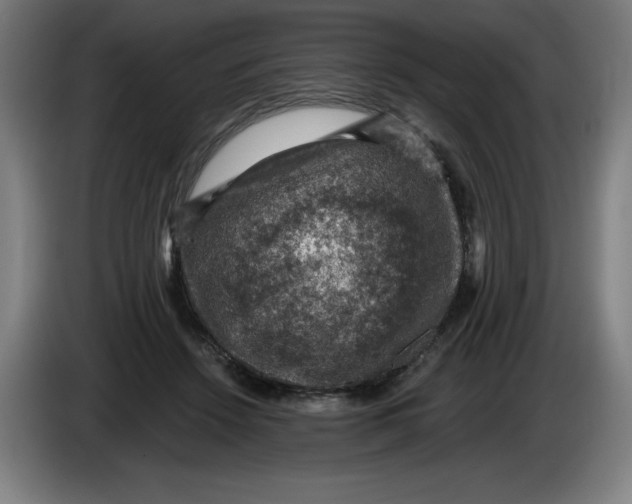 X0000085260456200703301836