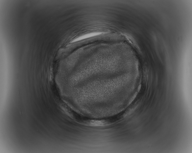 X0000085260457200703301836