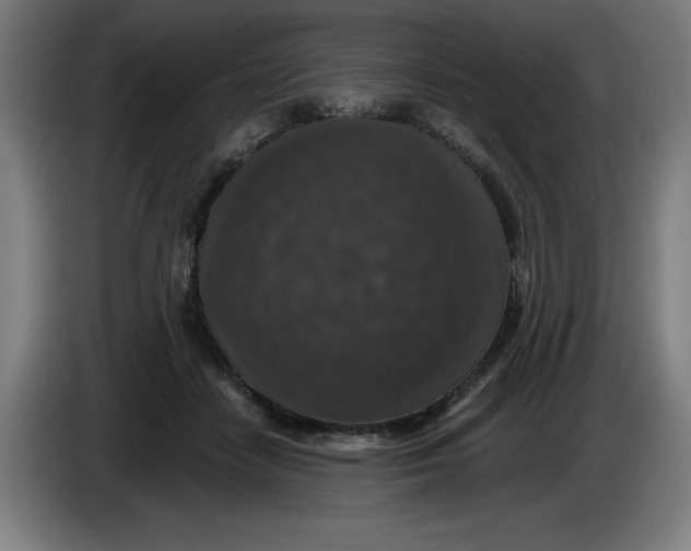 X0000085260458200703301836