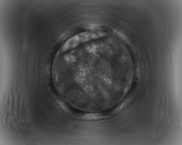 X0000085260461200703301836