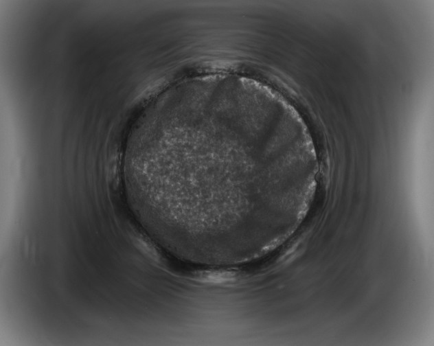 X0000085260462200703301836