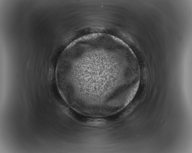 X0000085260463200703301836