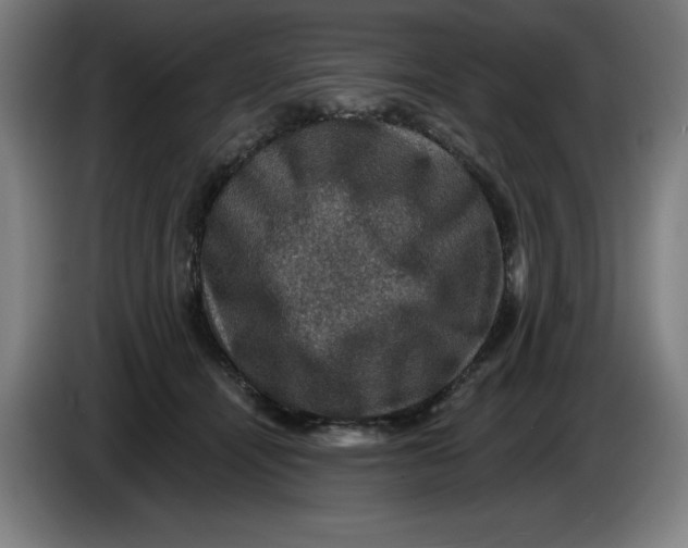 X0000085260464200703301836