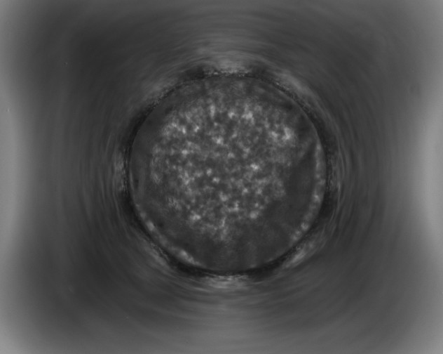 X0000085260465200703301836