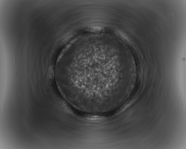 X0000085260467200703301836