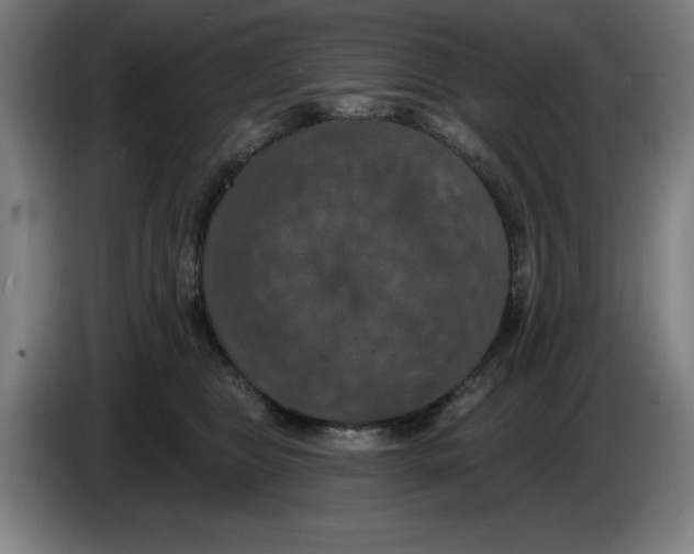 X0000085260469200703301836