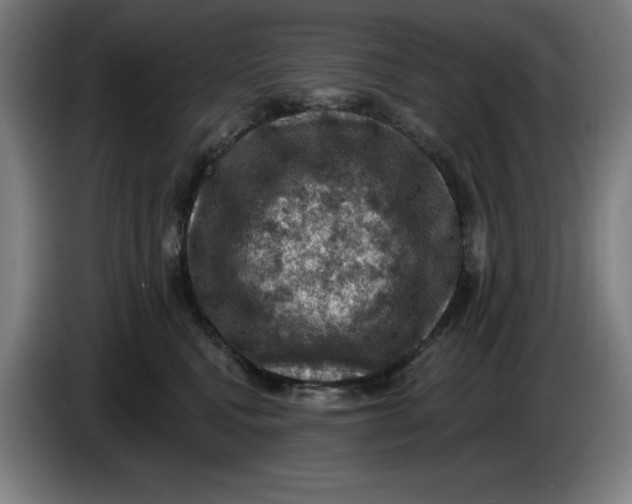 X0000085260472200703301836