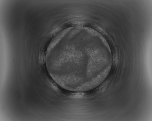 X0000085260474200703301836