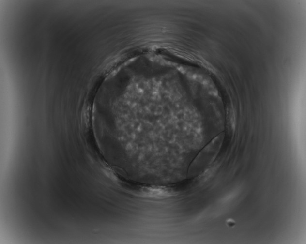 X0000085260475200703301836