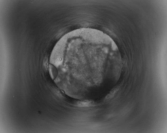 X0000085260479200703301836