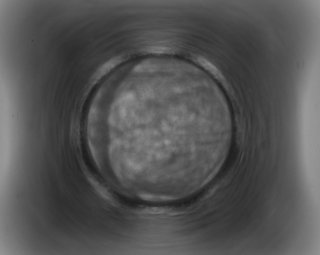 X0000085260482200703301836