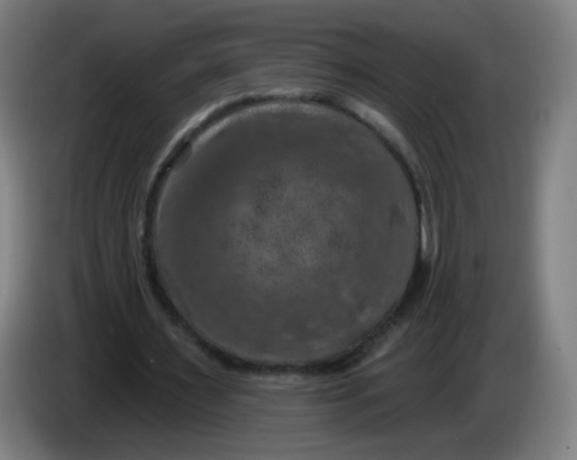 X0000085260483200703301836