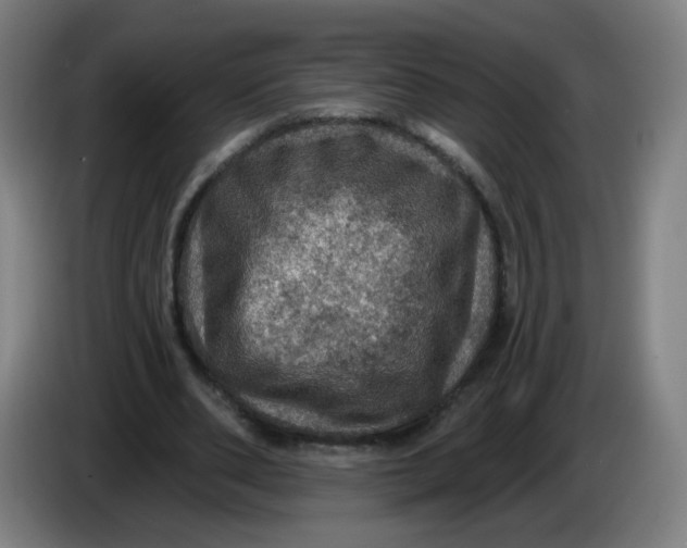 X0000085260486200703301836