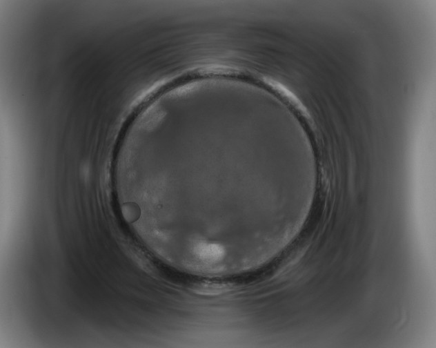 X0000085260487200703301836