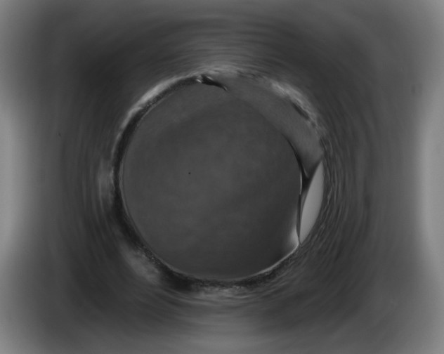 X0000085260488200703301836