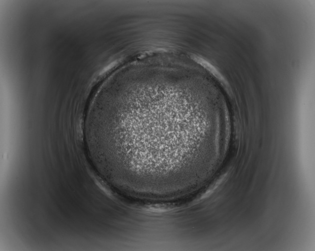 X0000085260489200703301836