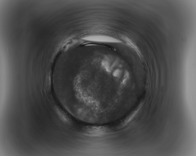 X0000085260493200703301836