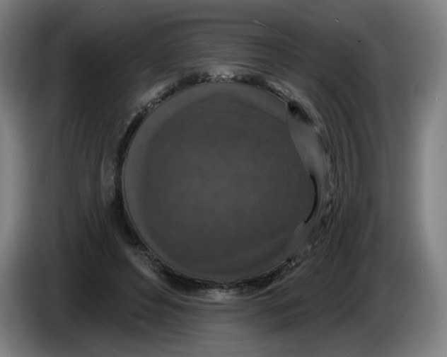 X0000085260496200703301836