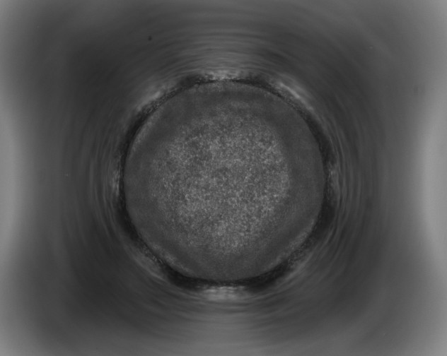 X0000085260499200703301835