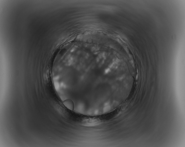 X0000085260503200703301835