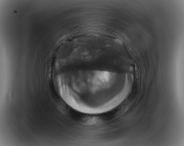 X0000085260507200703301835