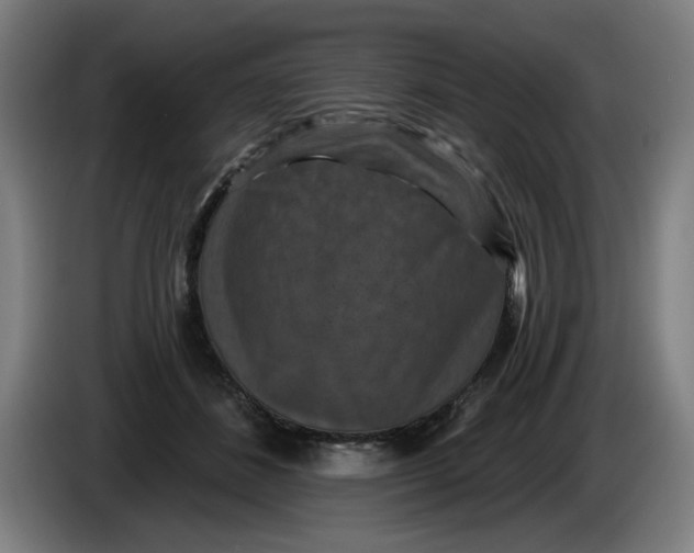 X0000085260508200703301835