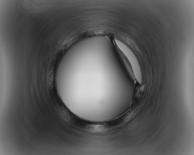 X0000085260509200703301835