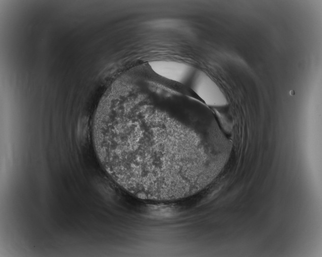 X0000085260511200703301835