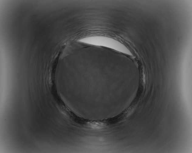 X0000085260512200703301835