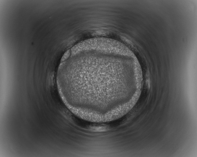 X0000085260514200703301835