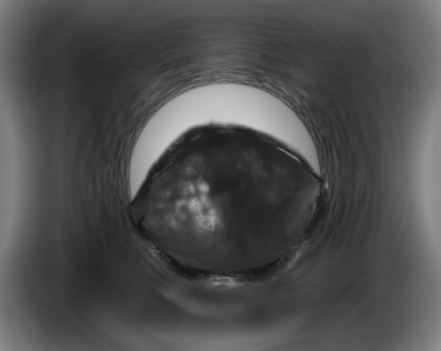 X0000085260519200703301835