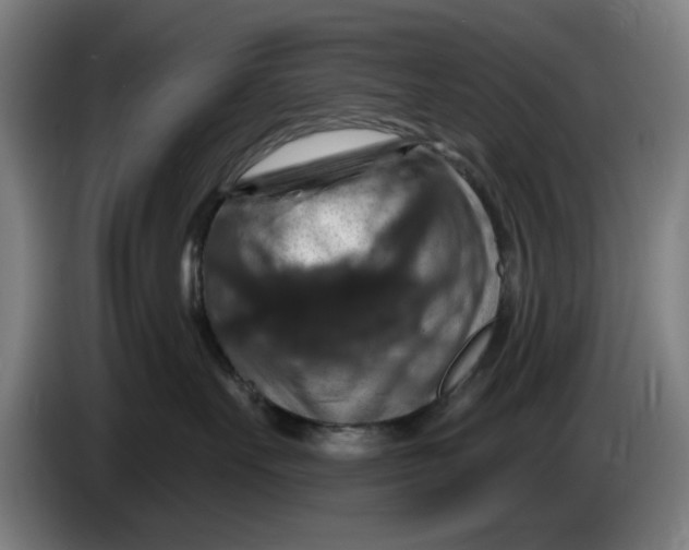 X0000085260527200703301835