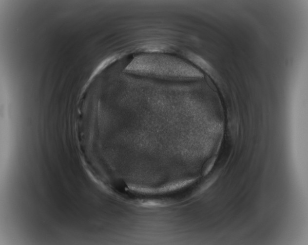 X0000085260530200703301834