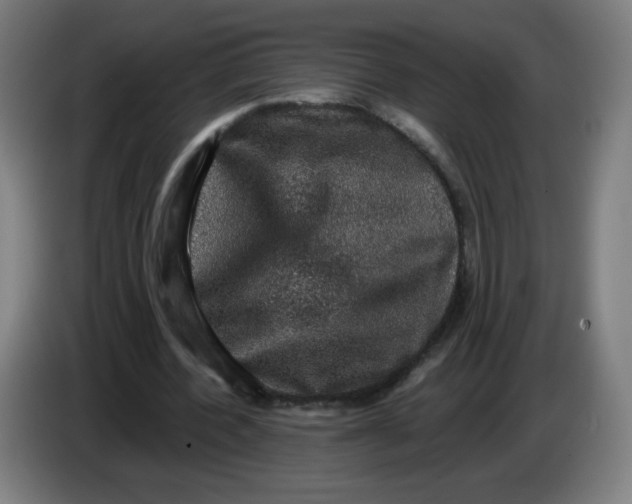 X0000085260532200703301834