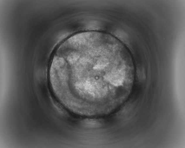 X0000085260534200703301834