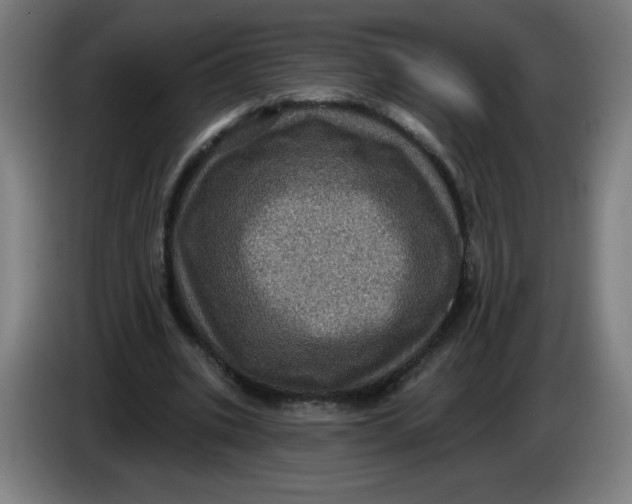 X0000085260535200703301834