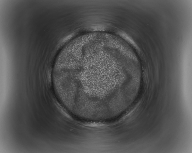 X0000085260537200703301834