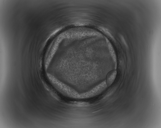 X0000085260539200703301835