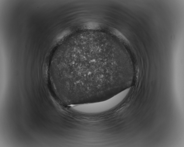 X0000085260542200703301835