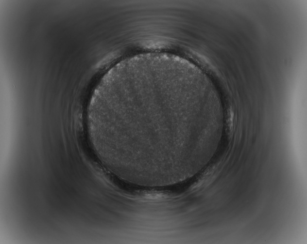 X0000085260547200703301835