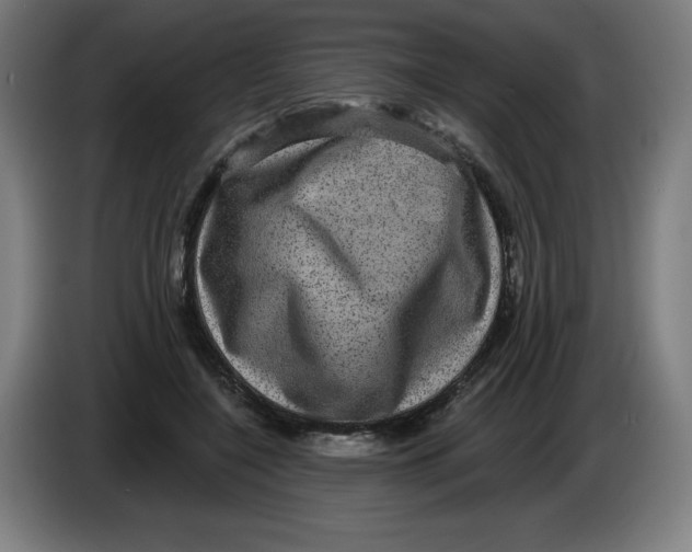 X0000085260548200703301835