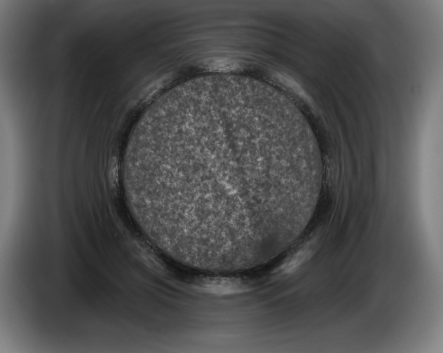 X0000085260549200703301835