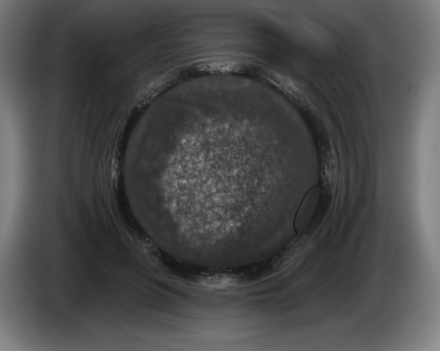 X0000085260551200703301835