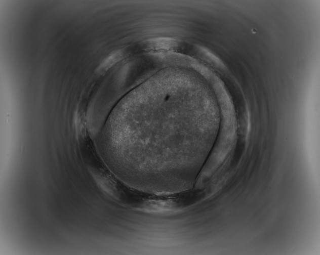 X0000085260552200703301835