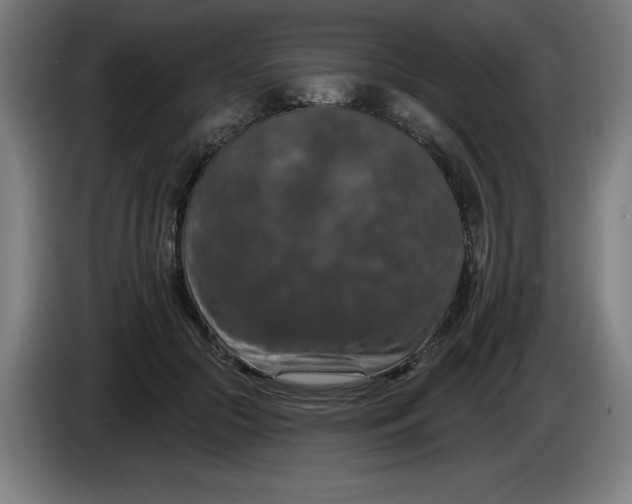 X0000085260553200703301835