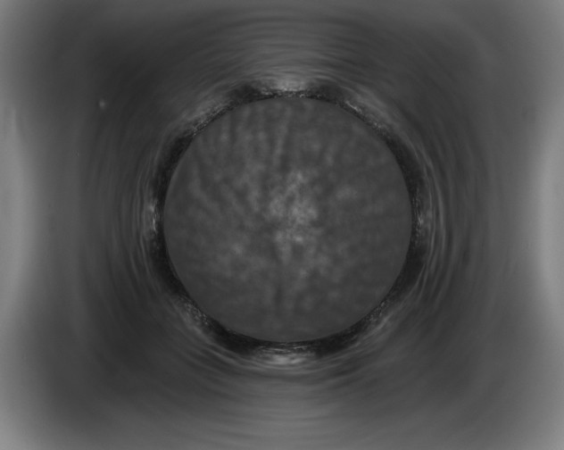 X0000085260555200703301835