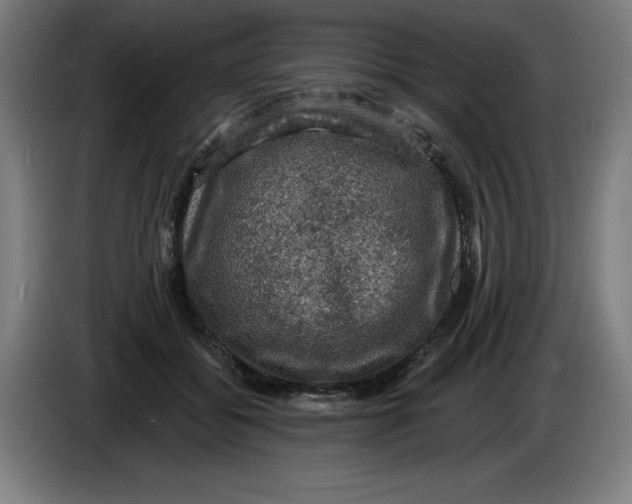 X0000085260556200703301835